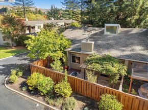 441 Sycamore Hill Dr, Danville CA 94526
