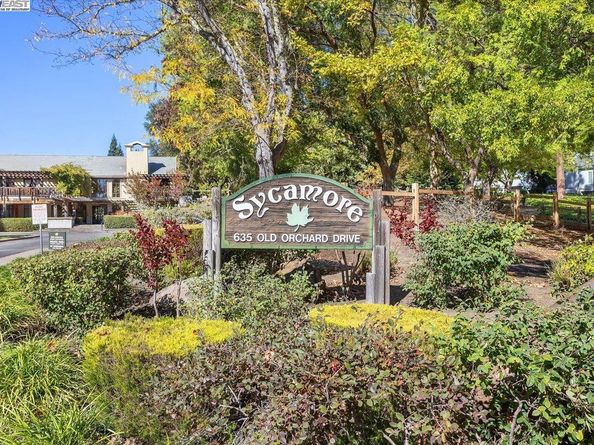 441 Sycamore Hill Dr, Danville CA 94526