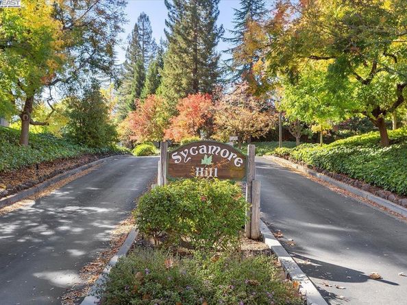441 Sycamore Hill Dr, Danville CA 94526