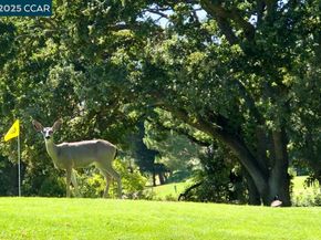 2933 Ptarmigan Dr 3, Walnut Creek CA 94595