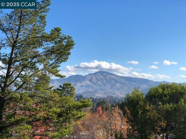 2933 Ptarmigan Dr 3, Walnut Creek CA 94595