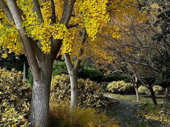 2933 Ptarmigan Dr 3, Walnut Creek CA 94595