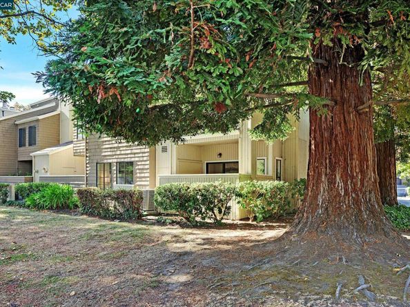 246 Copper Ridge, San Ramon CA 94582