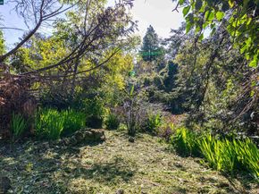 6391 Hillmont Dr, Oakland CA 94605
