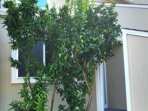 5389 San Simeon PL, Castro Valley CA 94552