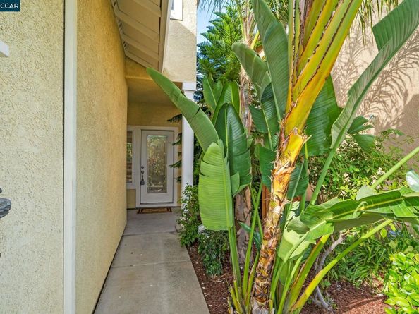 318 Bentley Ct, Pacheco CA 94553