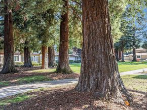 38012 Dover Cmn, Fremont CA 94536