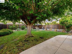 168 Albatross Avenue, Livermore CA 94550