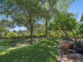 5 Oak Flat Rd., Orinda CA 94563
