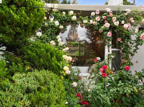 656 La Vista Rd, Walnut Creek CA 94598