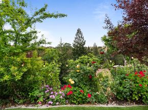 656 La Vista Rd, Walnut Creek CA 94598