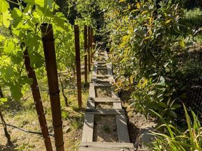 6741 Snake Rd, Oakland CA 94611