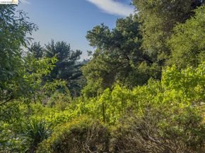 6741 Snake Rd, Oakland CA 94611