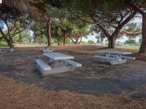 6435 Normandy Drive, Newark CA 94560