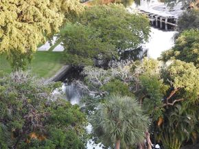 1800 N Andrews Ave 8C, Fort Lauderdale FL 33311
