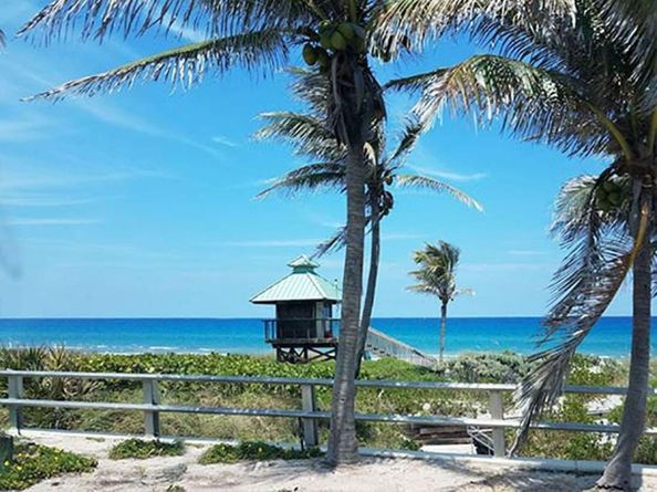 3099 NW 28th Terrace, Boca Raton FL 33434