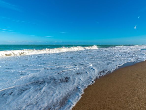 1605 S Us Highway 1 V2204, Jupiter FL 33477