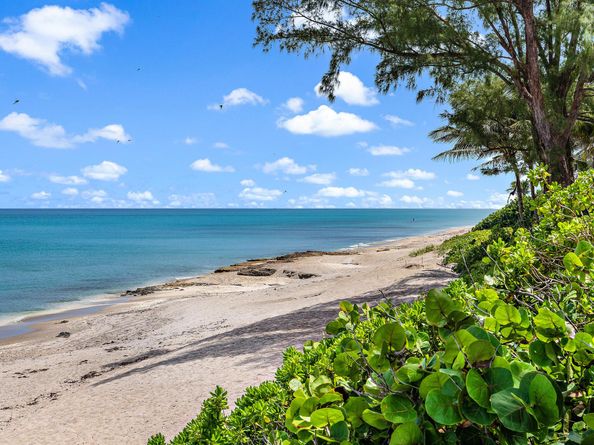 774 Seaview Drive, Juno Beach FL 33408