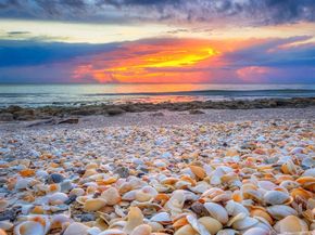 774 Seaview Drive, Juno Beach FL 33408