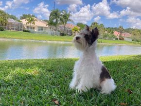 8251 Tobago Lane, Wellington FL 33414