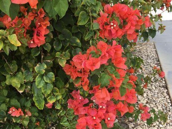 144 Norwich F, West Palm Beach FL 33417