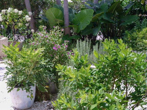 245 Edmor Road, West Palm Beach FL 33405