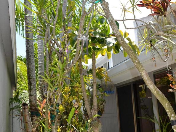 17145 Bay Street, Jupiter FL 33477