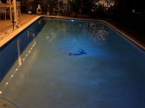 7337 SW 9th Ct, Plantation FL 33317