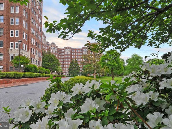 3601 Connecticut Avenue NW 202, Washington DC 20008