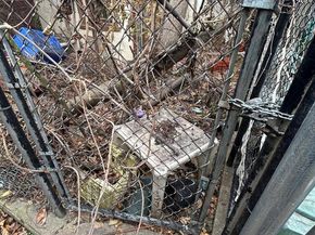 1929 W Norris Street, Philadelphia PA 19121