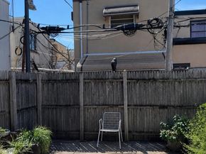 1102 Morris Street, Philadelphia PA 19148