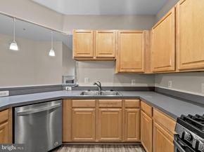 2911 Deer Hollow Way 118, Fairfax VA 22031