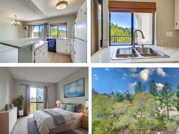 7838 Cowles Mountain Ct