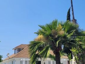 1277 W West Boulevard, Los Angeles CA 90019