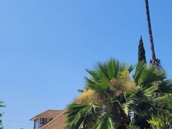 1277 W West Boulevard, Los Angeles CA 90019