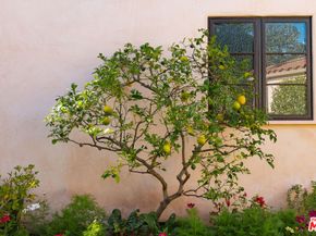483 Arbramar Avenue, Pacific Palisades CA 90272