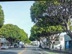 441 Raymond Avenue 5, Santa Monica CA 90405