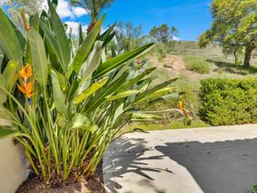 11604 Springside Rd, San Diego CA 92128