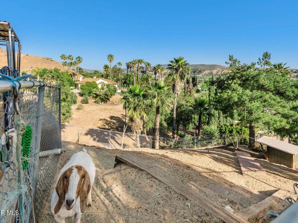 11270 Dominica Avenue, Lakeview Terrace CA 91342