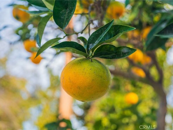 22928 Evalyn, Torrance CA 90505