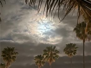 3811 E Livingston Drive 1, Long Beach CA 90803