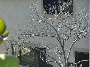 3522 Fairlomas Drive, National City CA 91950