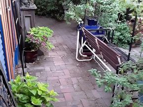 677 Elm Street, San Jose CA 95126