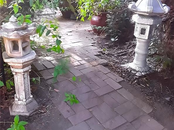 677 Elm Street, San Jose CA 95126