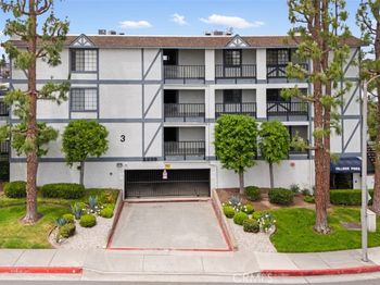 2599 Walnut