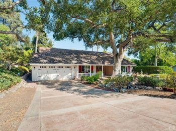 2040 Whitebluff Drive