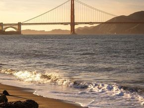 3675 Fillmore Street 302, San Francisco CA 94123