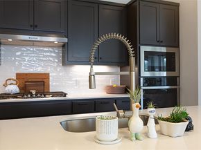 5013 Globe Mallow DR, Austin TX 78739