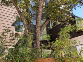 4614 Philco DR 3, Austin TX 78745