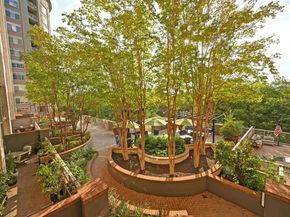 54 Rainey ST 416, Austin TX 78701